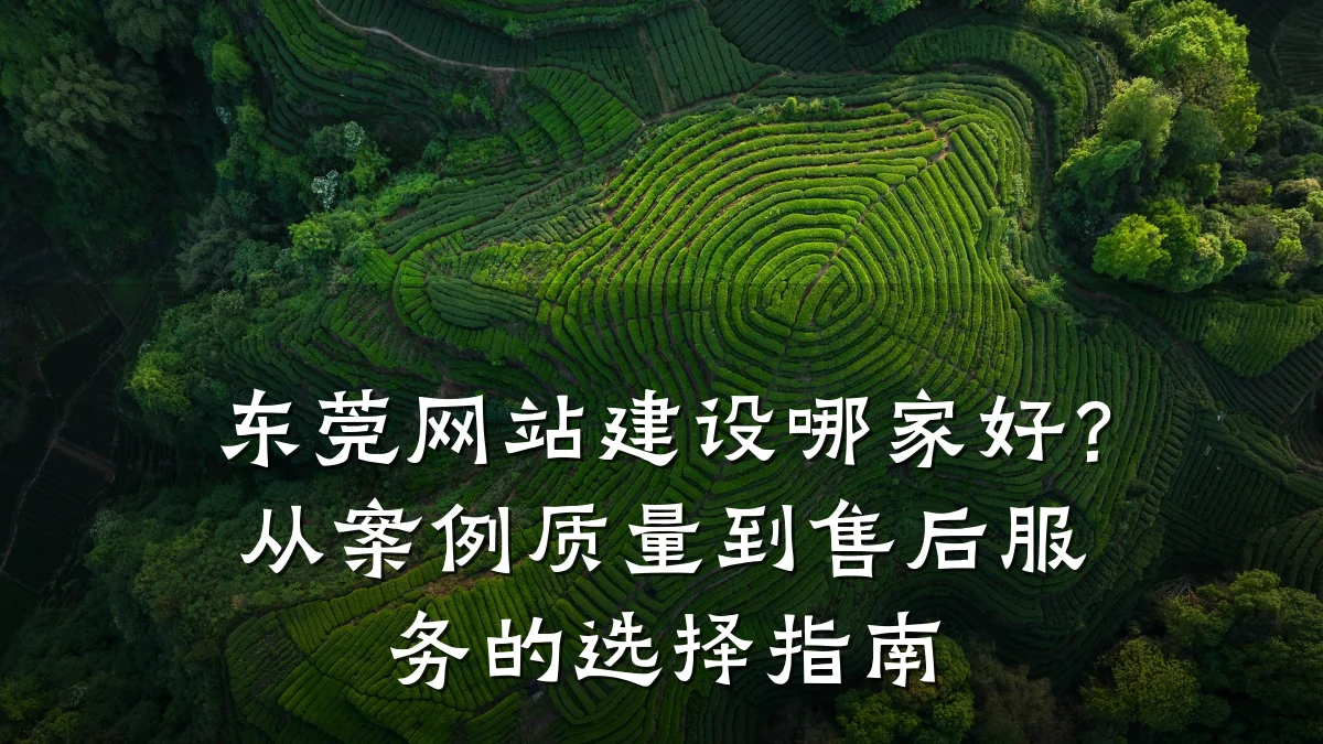 东莞网站建设哪家好?从案例质量到售后服务的选择指南