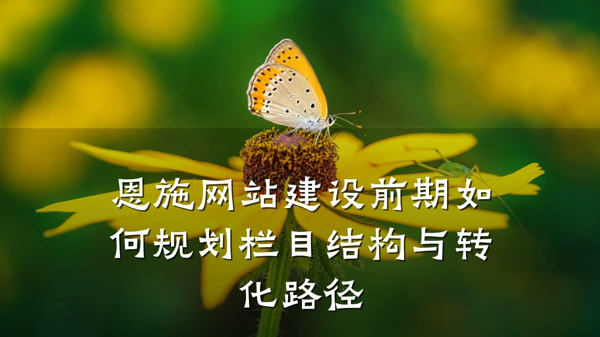 恩施网站建设前期如何规划栏目结构与转化路径