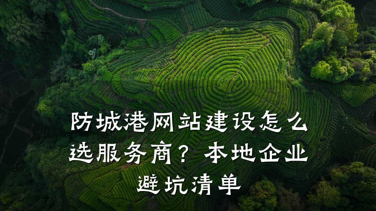 防城港网站建设怎么选服务商?本地企业避坑清单