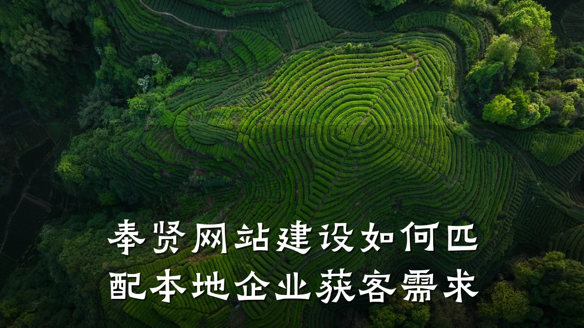 奉贤网站建设如何匹配本地企业获客需求