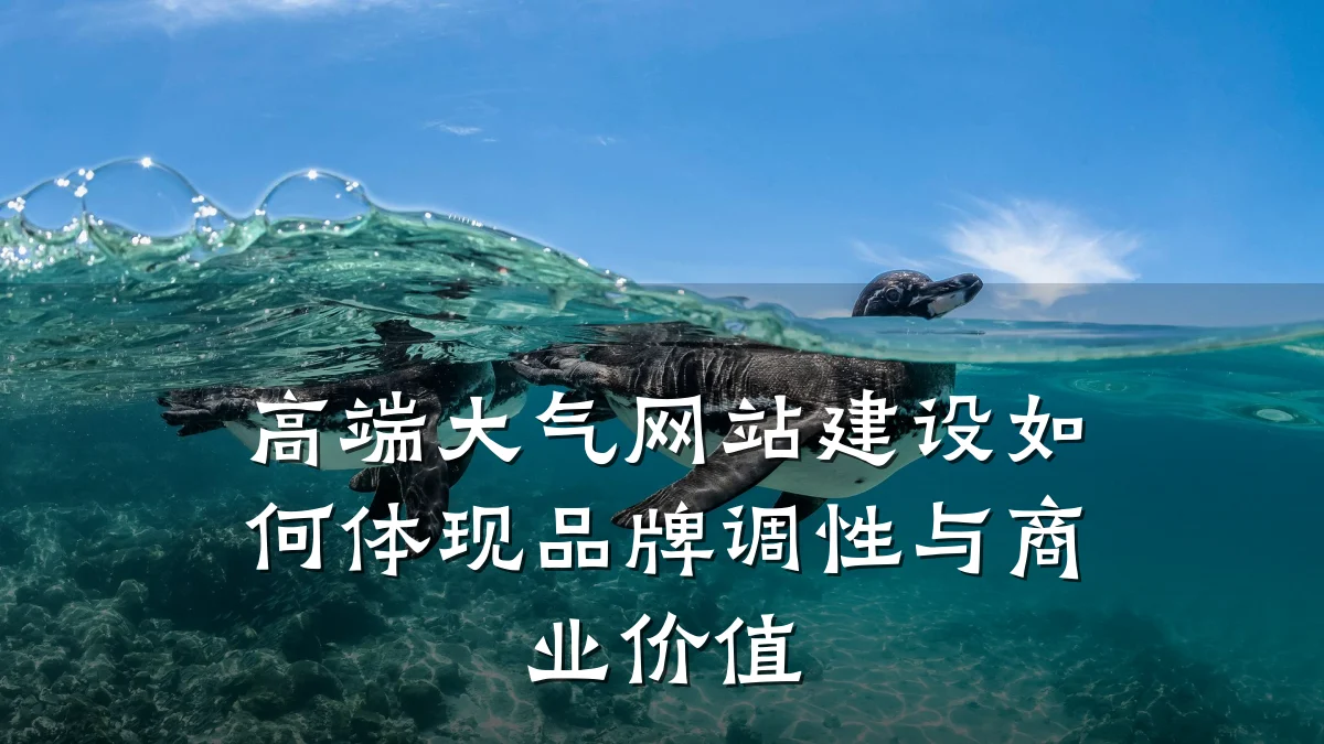 高端大气网站建设如何体现品牌调性与商业价值