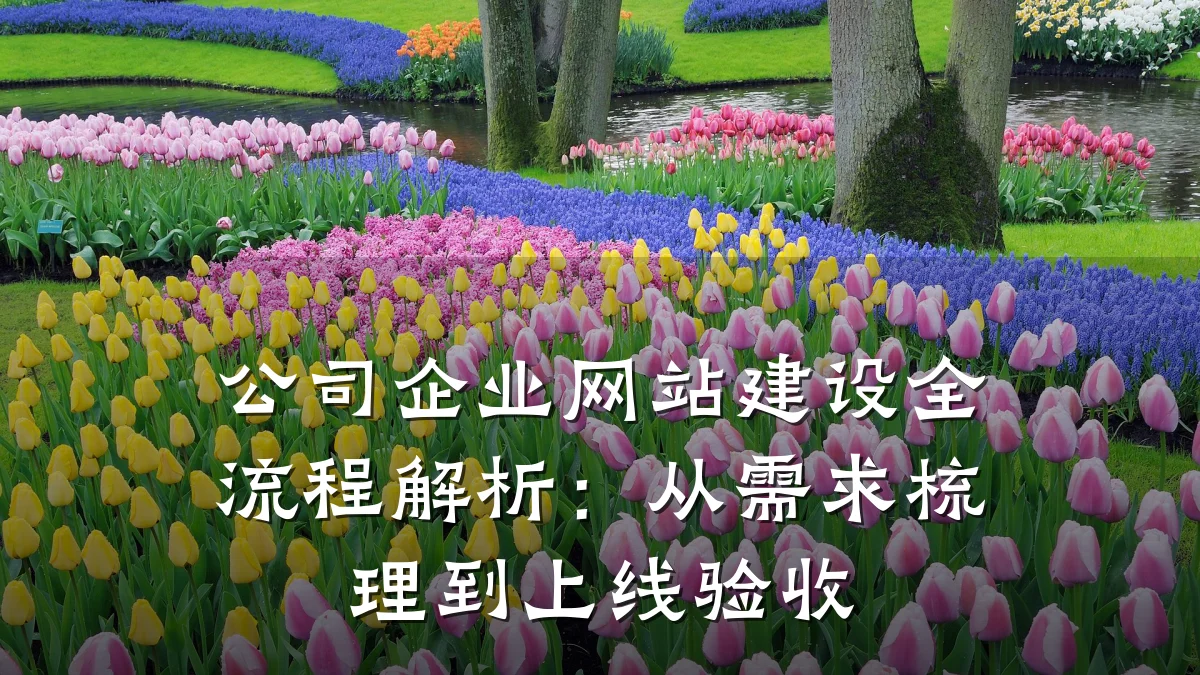 公司企业网站建设全流程解析：从需求梳理到上线验收