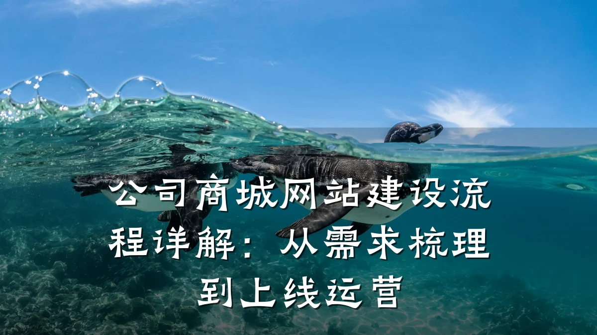 公司商城网站建设流程详解：从需求梳理到上线运营