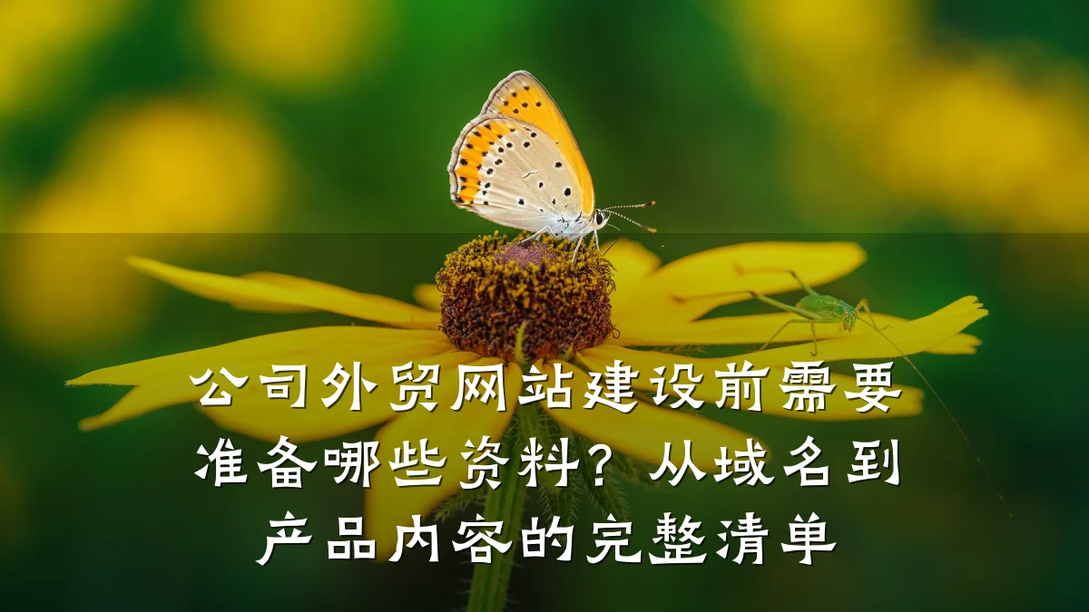 公司外贸网站建设前需要准备哪些资料？从域名到产品内容的完整清单