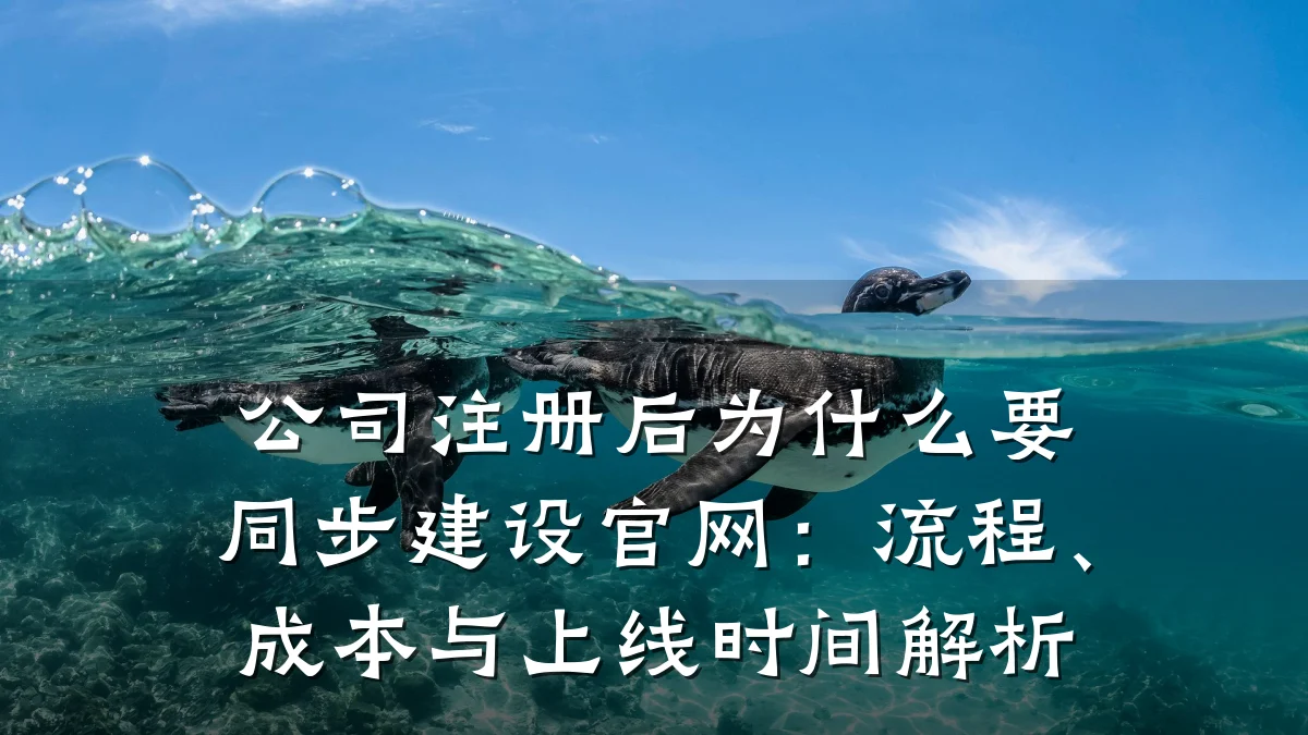公司注册后为什么要同步建设官网：流程、成本与上线时间解析