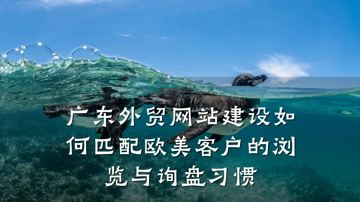 广东外贸网站建设如何匹配欧美客户的浏览与询盘习惯