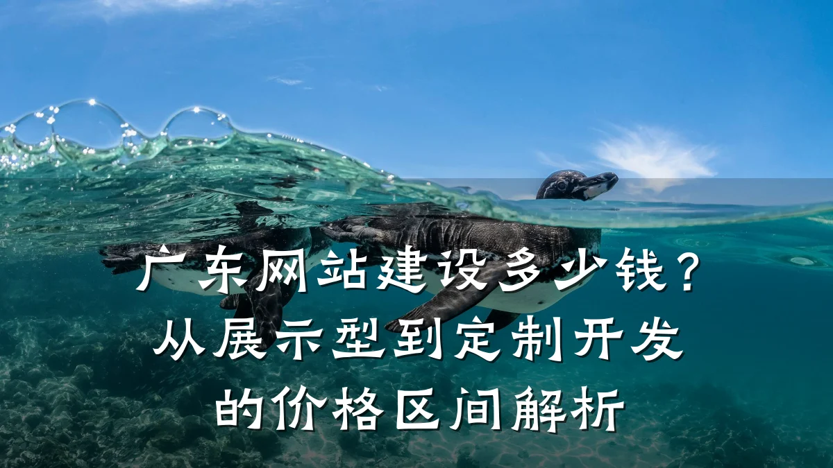 广东网站建设多少钱?从展示型到定制开发的价格区间解析