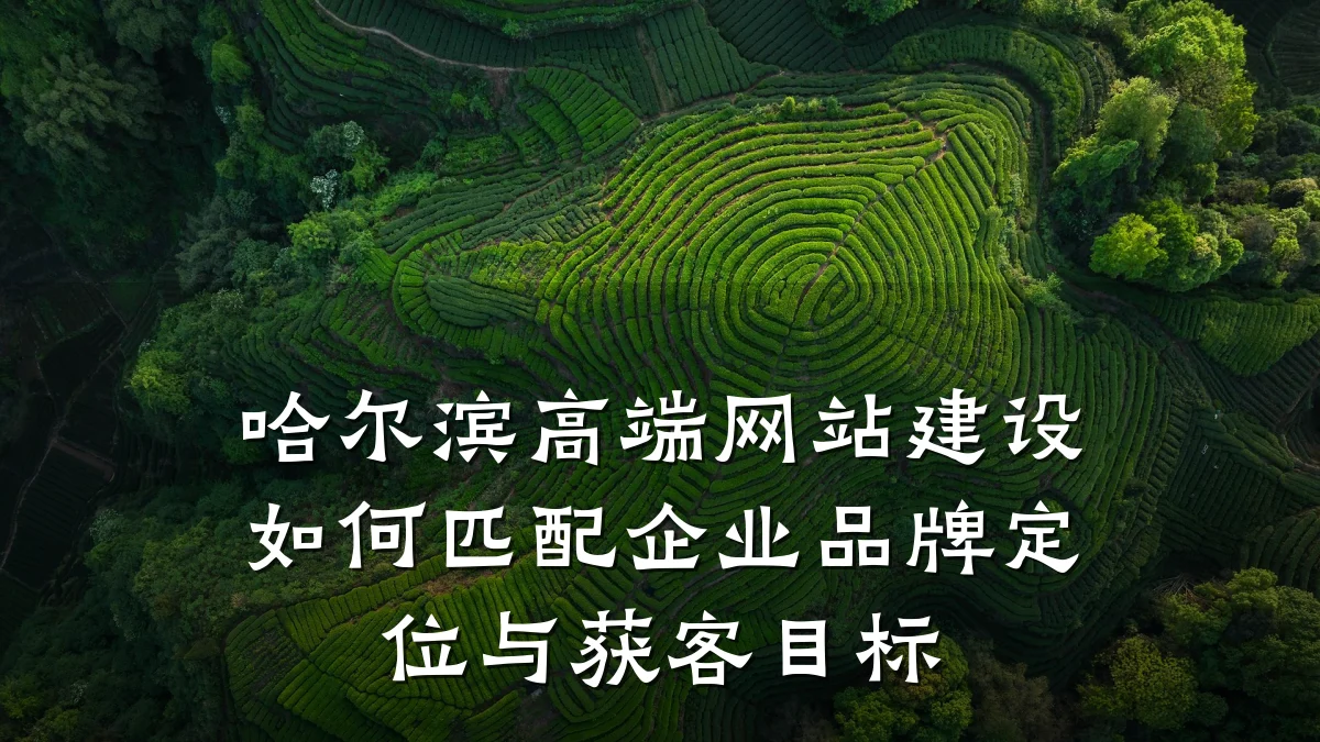 哈尔滨高端网站建设如何匹配企业品牌定位与获客目标