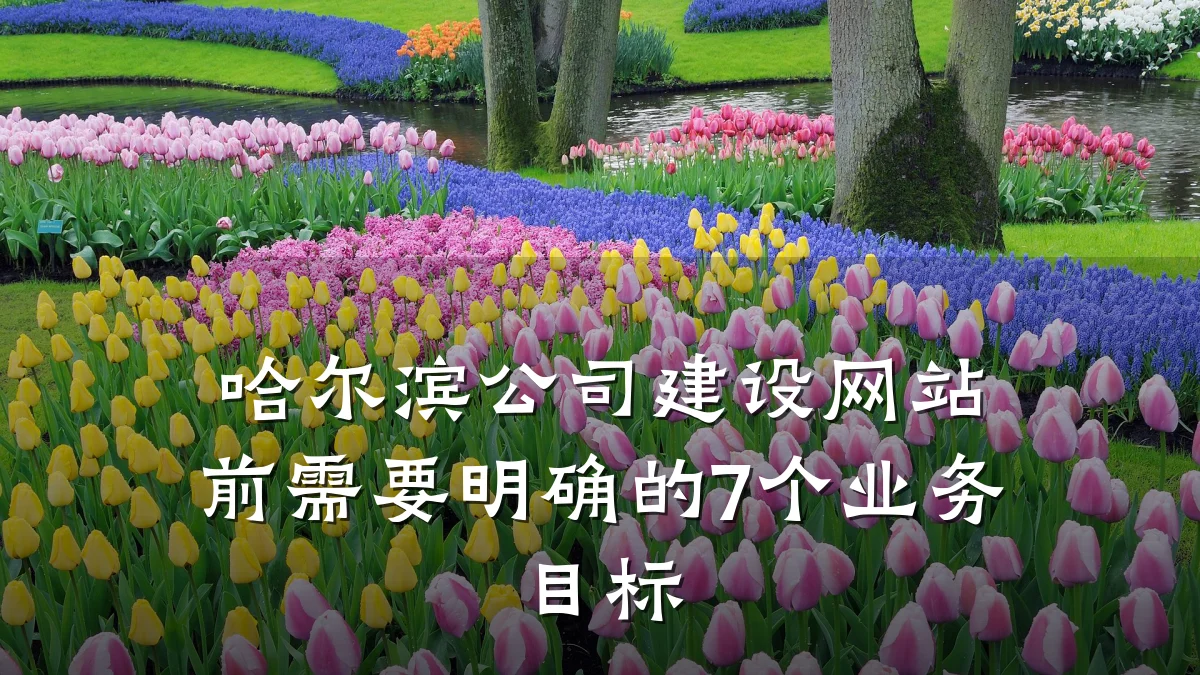 哈尔滨公司建设网站前需要明确的7个业务目标