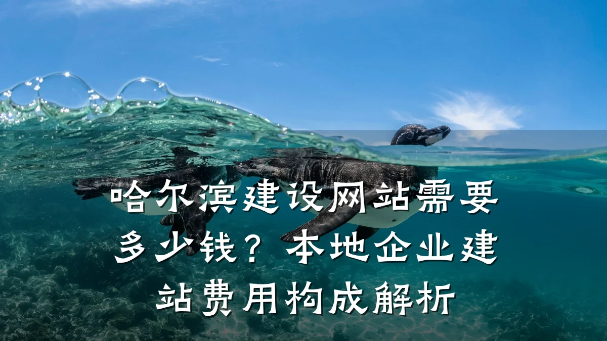 哈尔滨建设网站需要多少钱?本地企业建站费用构成解析