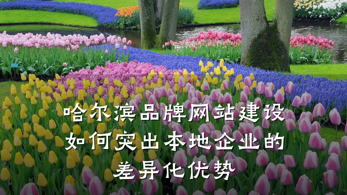 哈尔滨品牌网站建设如何突出本地企业的差异化优势