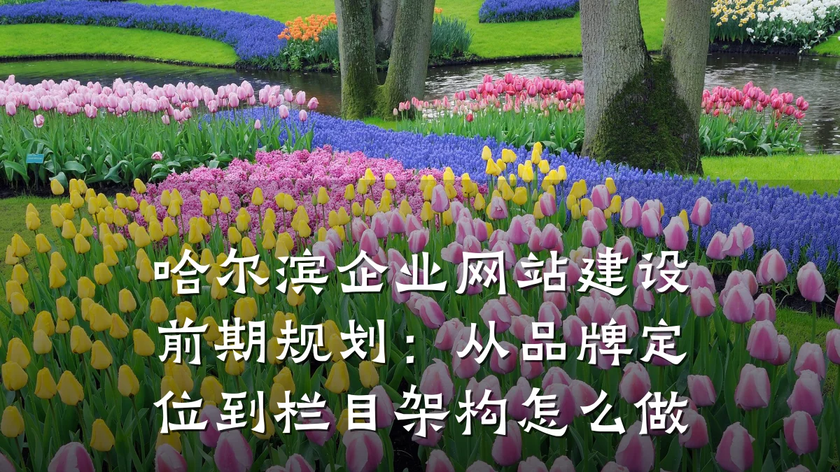 哈尔滨企业网站建设前期规划：从品牌定位到栏目架构怎么做