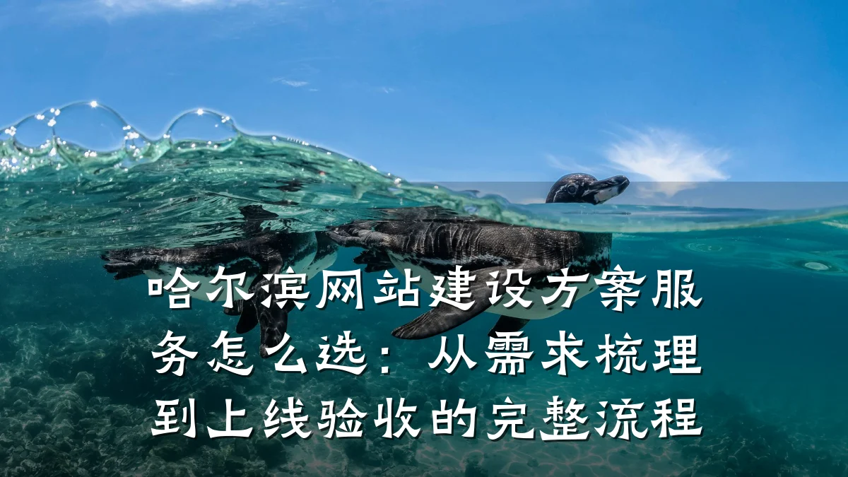 哈尔滨网站建设方案服务怎么选：从需求梳理到上线验收的完整流程