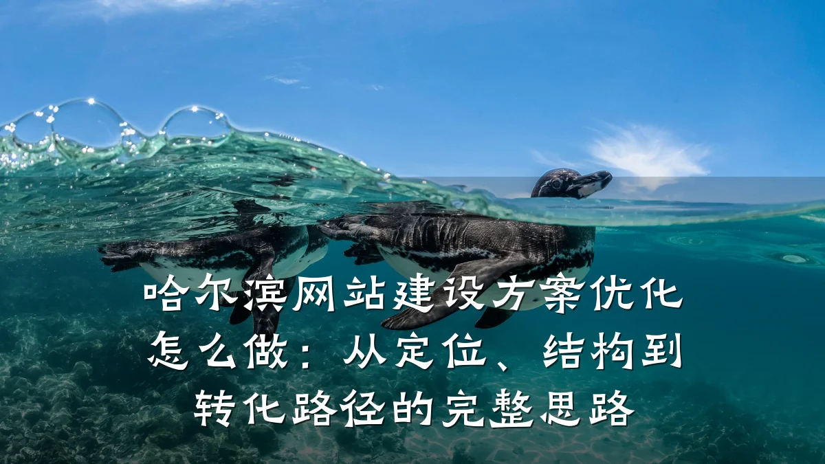 哈尔滨网站建设方案优化怎么做：从定位、结构到转化路径的完整思路
