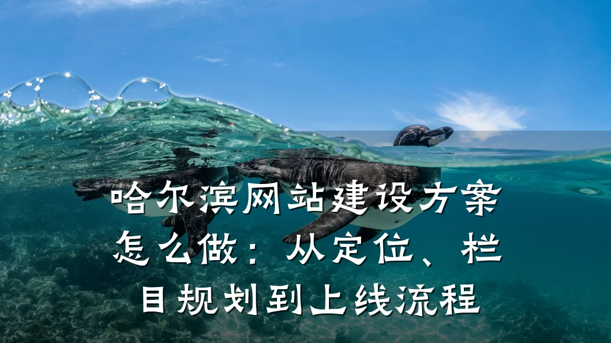 哈尔滨网站建设方案怎么做:从定位、栏目规划到上线流程