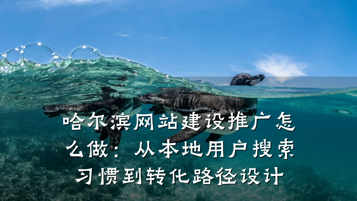 哈尔滨网站建设推广怎么做：从本地用户搜索习惯到转化路径设计