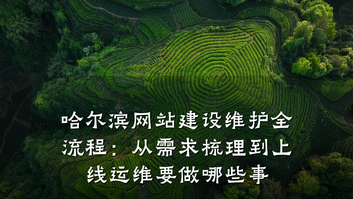 哈尔滨网站建设维护全流程：从需求梳理到上线运维要做哪些事