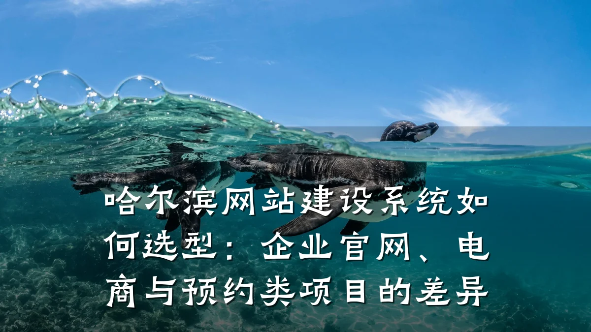 哈尔滨网站建设系统如何选型：企业官网、电商与预约类项目的差异