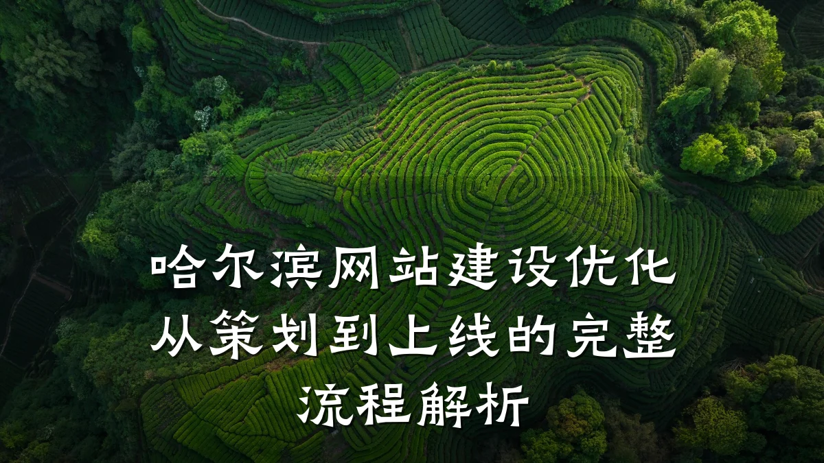 哈尔滨网站建设优化从策划到上线的完整流程解析
