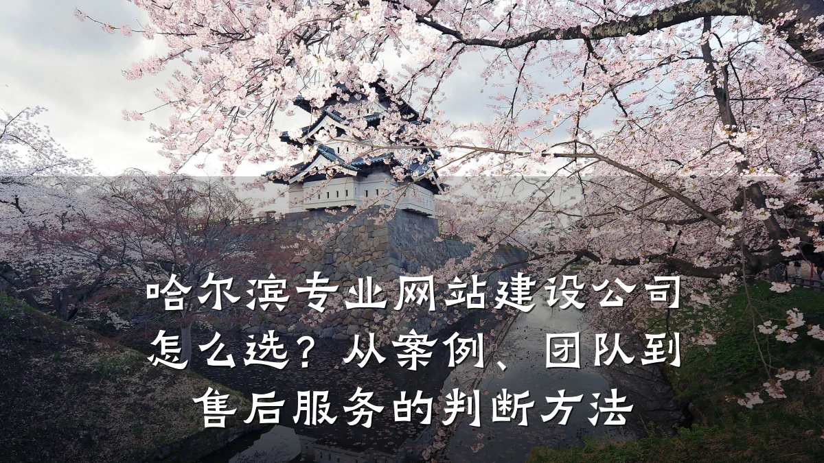 哈尔滨专业网站建设公司怎么选？从案例、团队到售后服务的判断方法