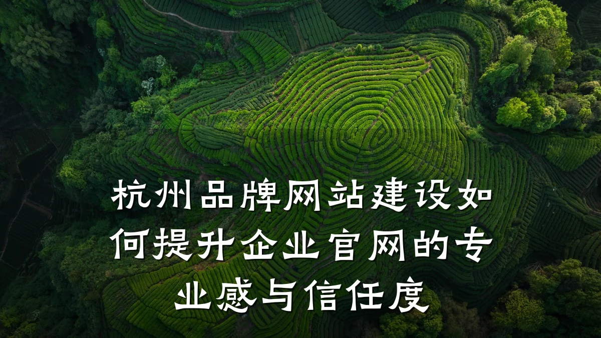 杭州品牌网站建设如何提升企业官网的专业感与信任度