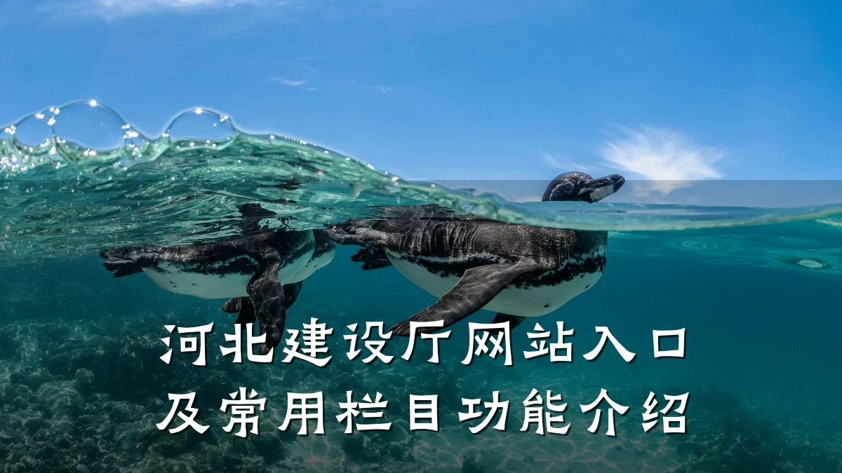 河北建设厅网站入口及常用栏目功能介绍