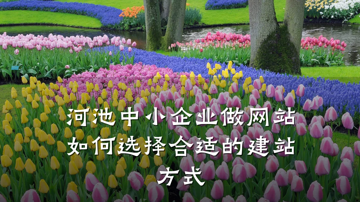 河池中小企业做网站如何选择合适的建站方式