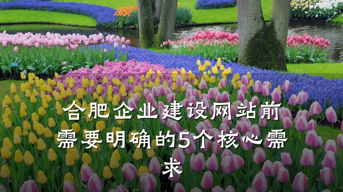 合肥企业建设网站前需要明确的5个核心需求