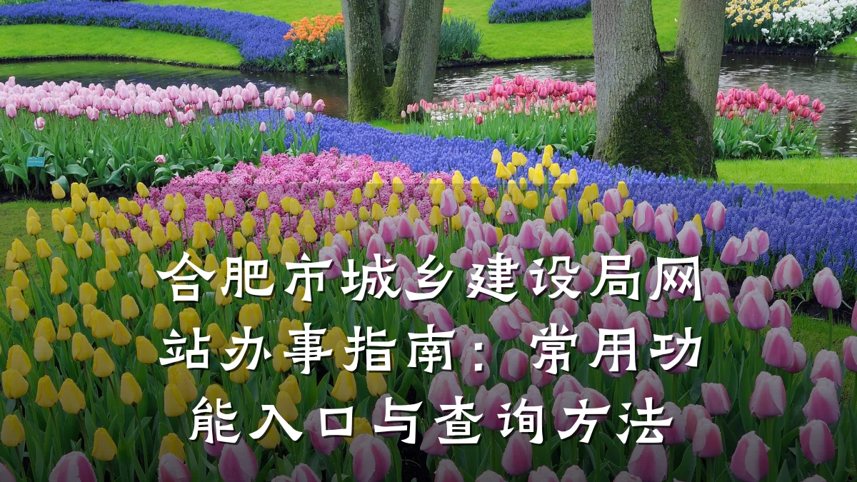 合肥市城乡建设局网站办事指南：常用功能入口与查询方法