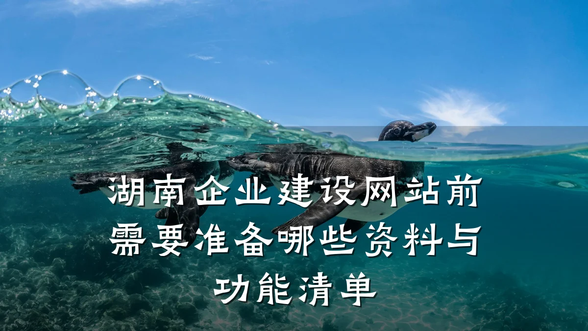湖南企业建设网站前需要准备哪些资料与功能清单