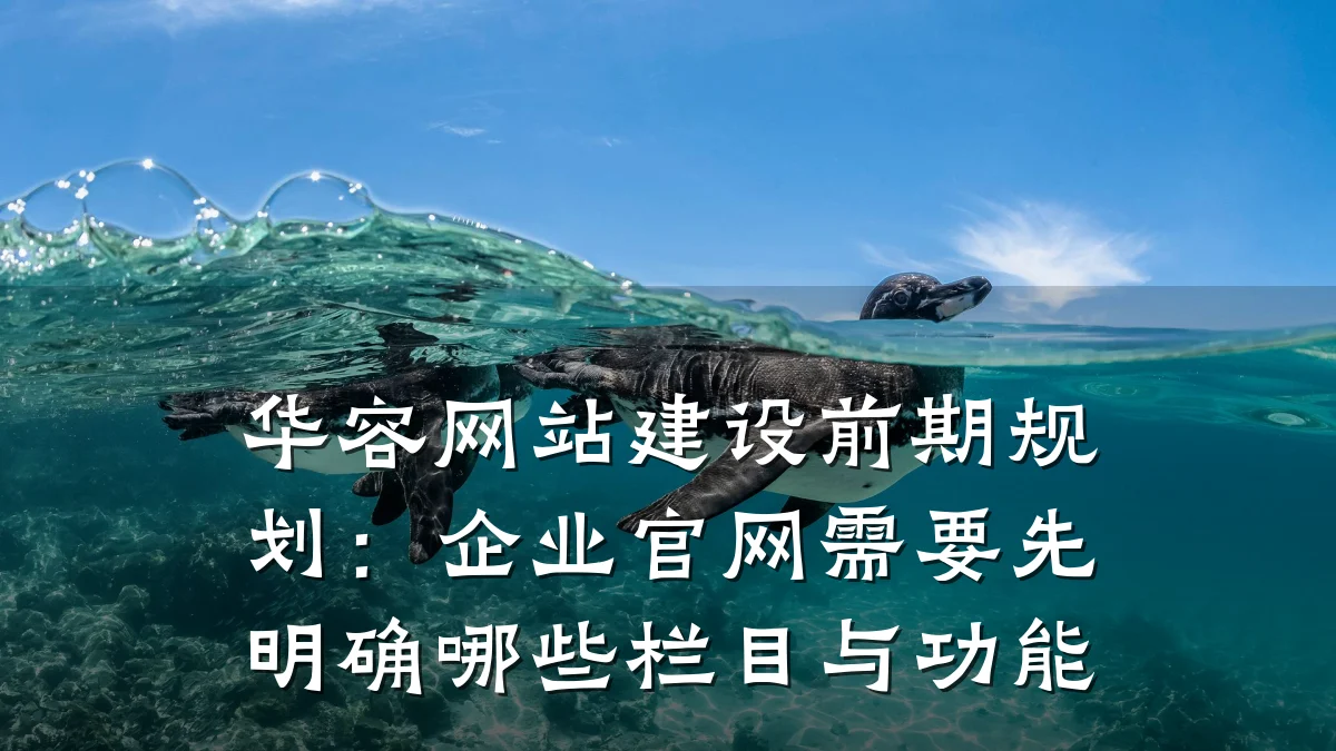 华容网站建设前期规划:企业官网需要先明确哪些栏目与功能