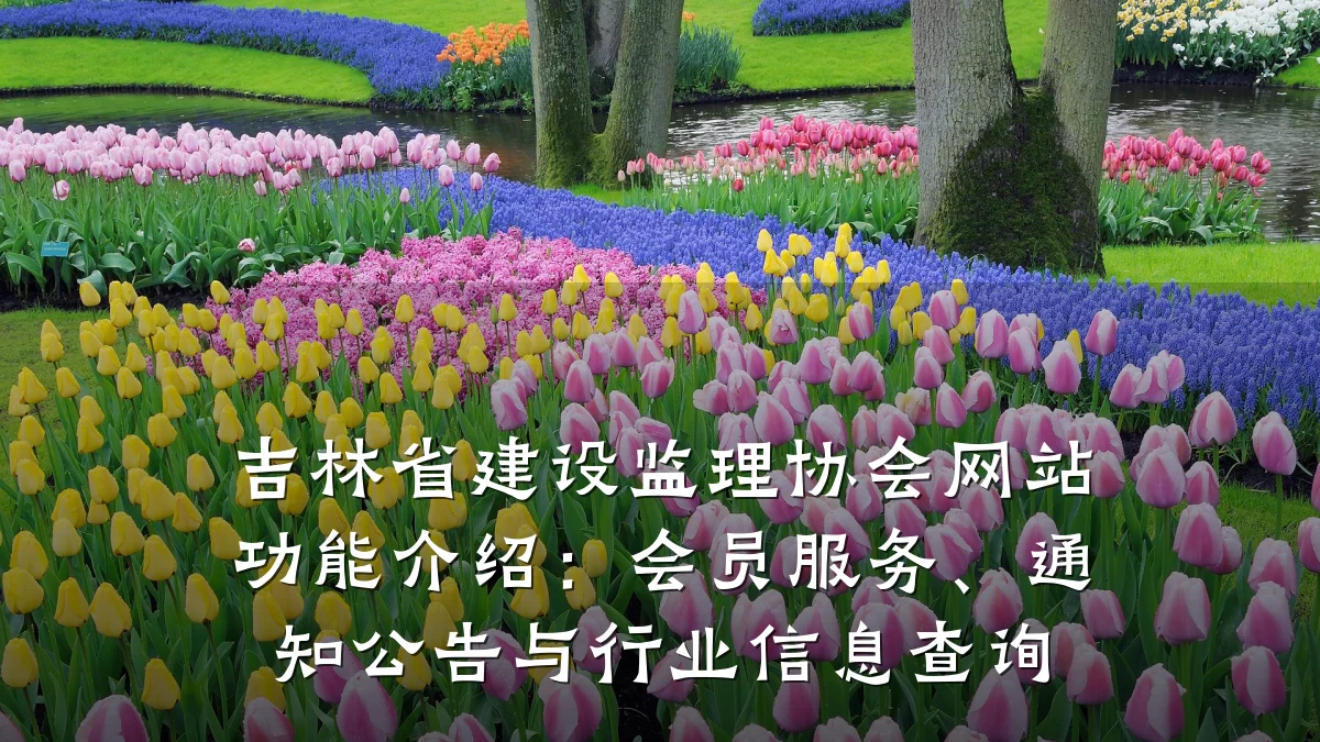 吉林省建设监理协会网站功能介绍:会员服务、通知公告与行业信息查询