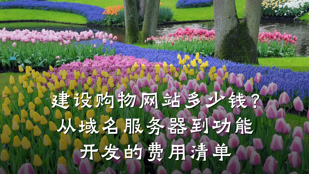 建设购物网站多少钱?从域名服务器到功能开发的费用清单