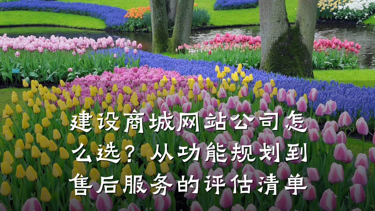 建设商城网站公司怎么选?从功能规划到售后服务的评估清单