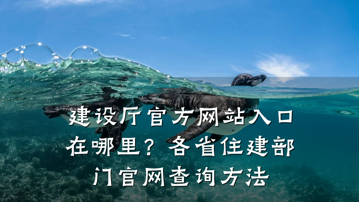 建设厅官方网站入口在哪里？各省住建部门官网查询方法