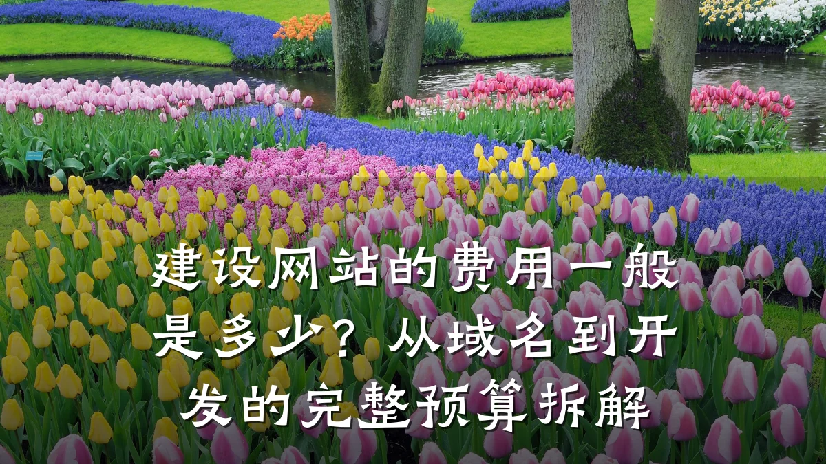 建设网站的费用一般是多少?从域名到开发的完整预算拆解