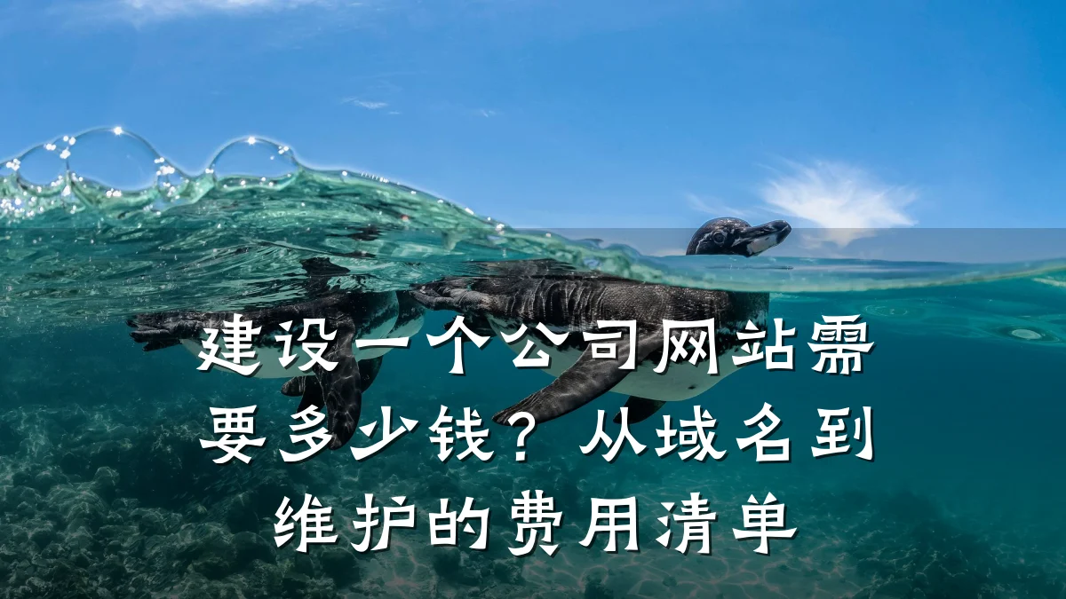 建设一个公司网站需要多少钱？从域名到维护的费用清单