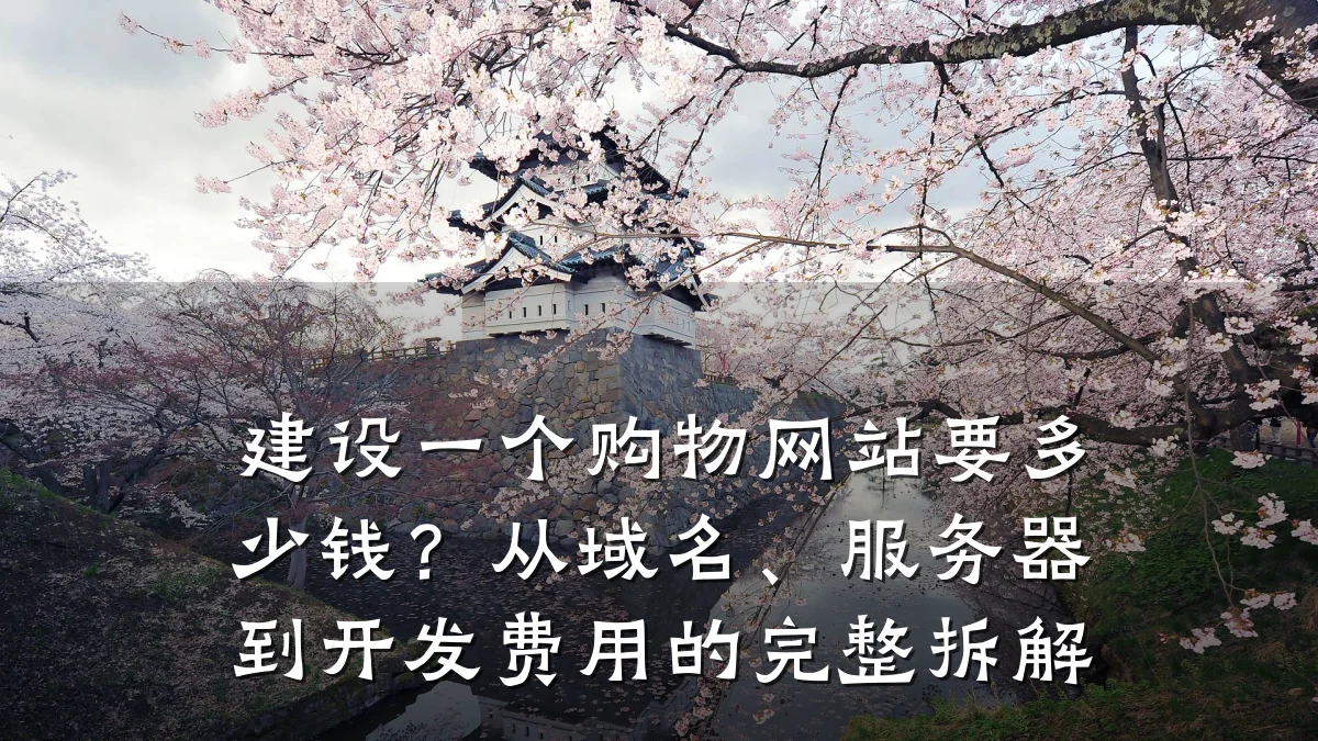 建设一个购物网站要多少钱？从域名、服务器到开发费用的完整拆解