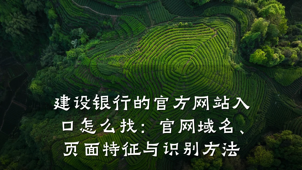 建设银行的官方网站入口怎么找：官网域名、页面特征与识别方法