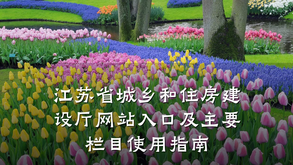 江苏省城乡和住房建设厅网站入口及主要栏目使用指南