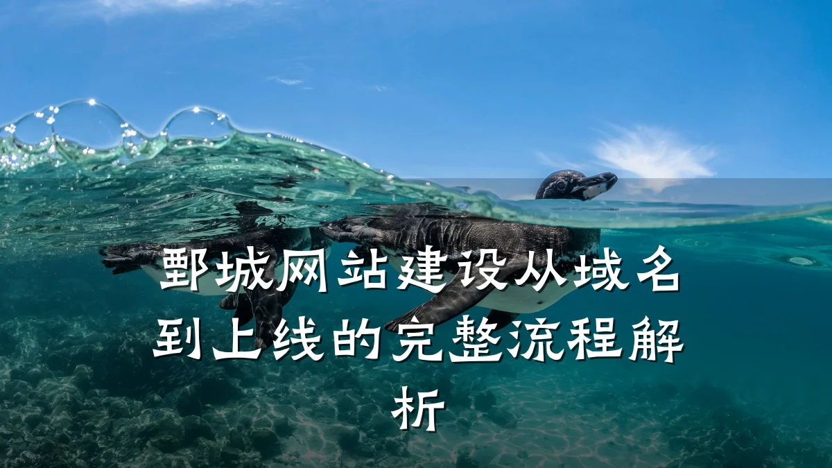 鄄城网站建设从域名到上线的完整流程解析