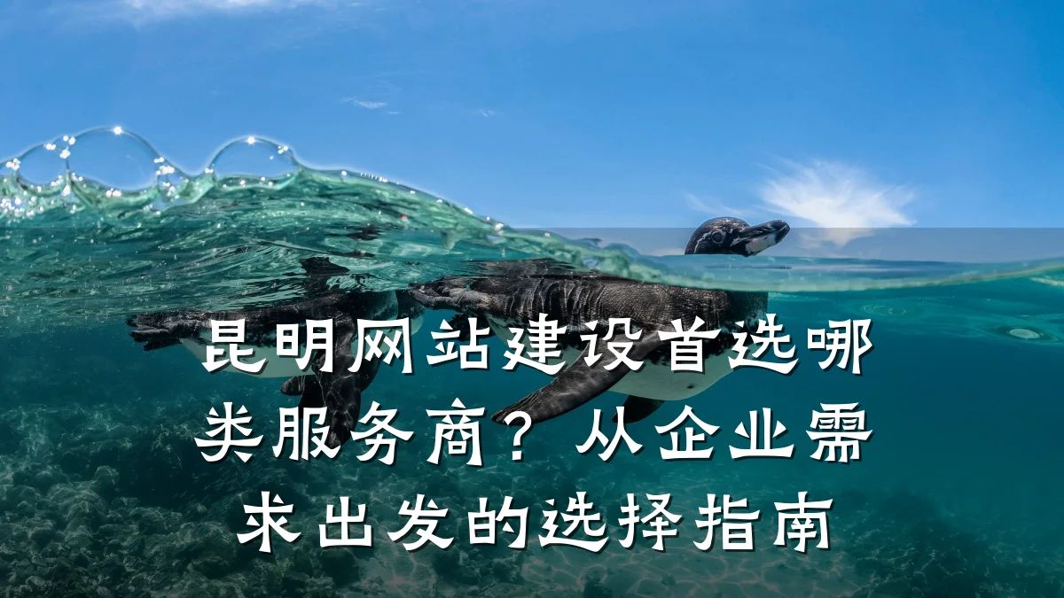 昆明网站建设首选哪类服务商？从企业需求出发的选择指南