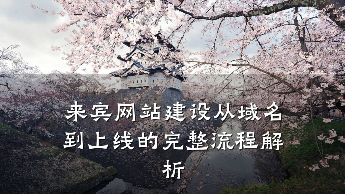 来宾网站建设从域名到上线的完整流程解析