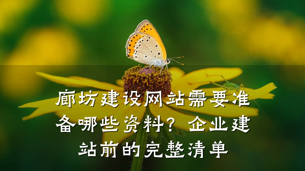 廊坊建设网站需要准备哪些资料？企业建站前的完整清单