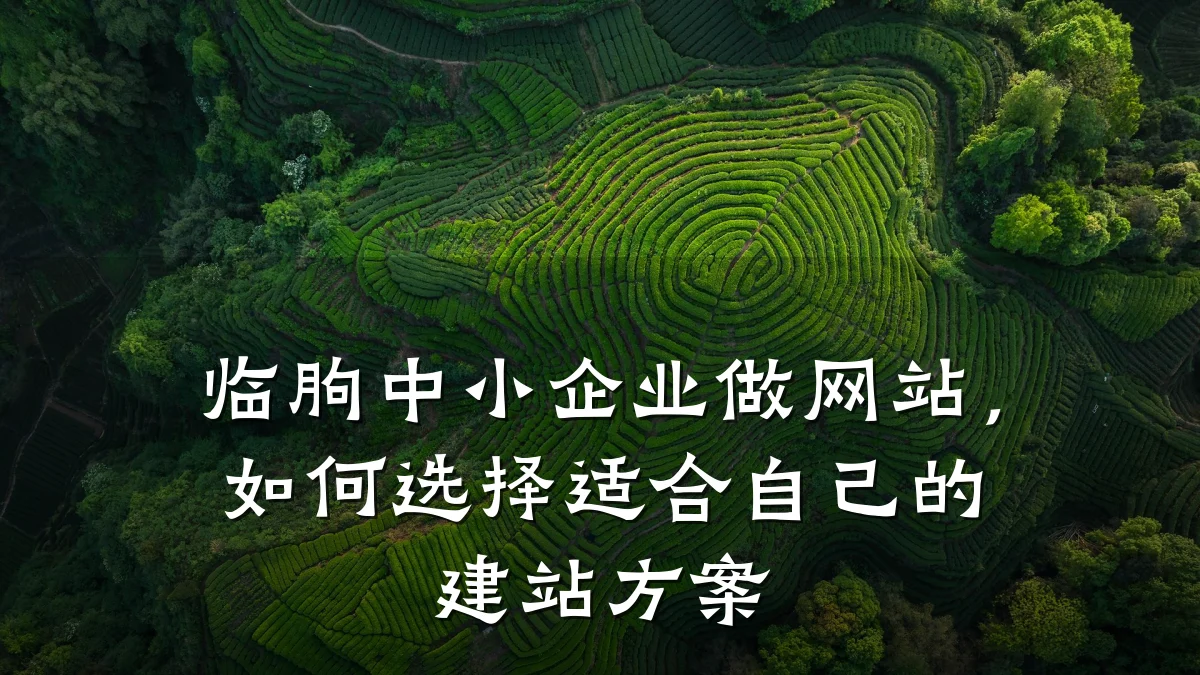 临朐中小企业做网站,如何选择适合自己的建站方案