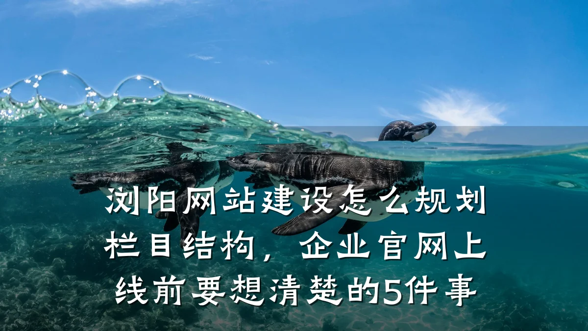 浏阳网站建设怎么规划栏目结构,企业官网上线前要想清楚的5件事