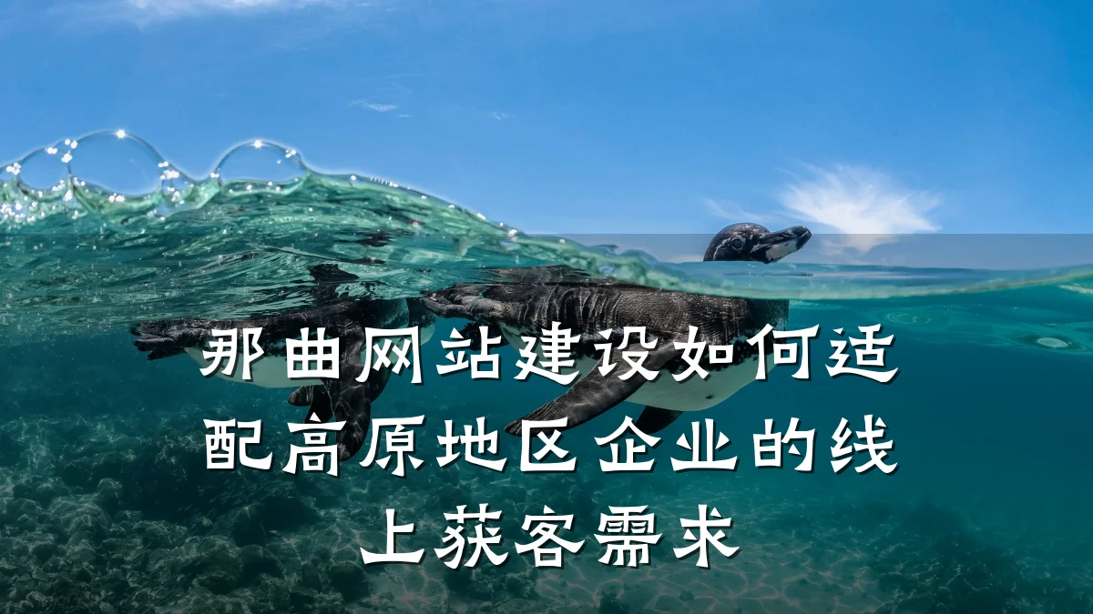 那曲网站建设如何适配高原地区企业的线上获客需求