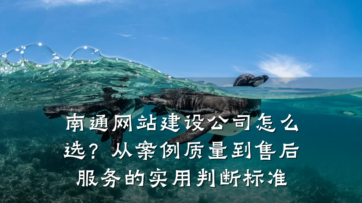 南通网站建设公司怎么选?从案例质量到售后服务的实用判断标准