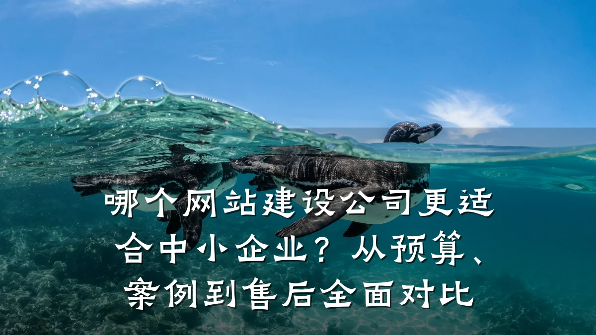 哪个网站建设公司更适合中小企业?从预算、案例到售后全面对比