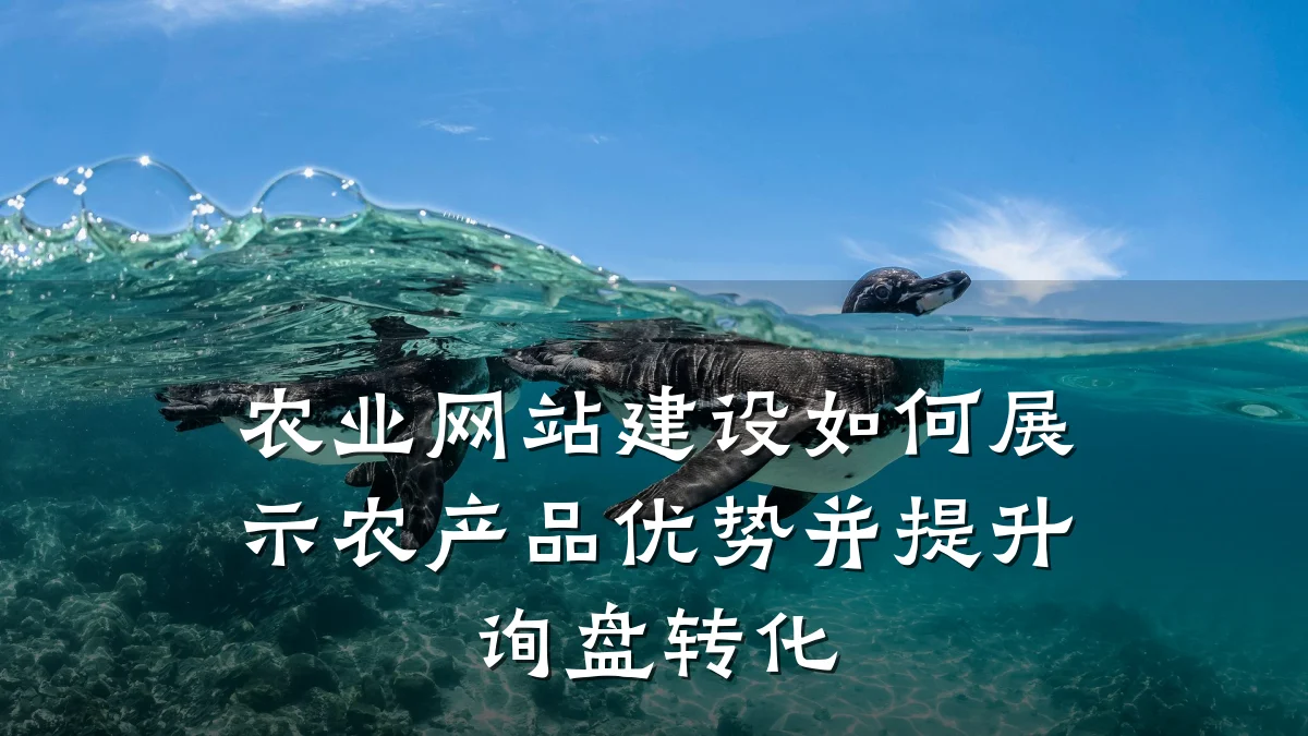 农业网站建设如何展示农产品优势并提升询盘转化